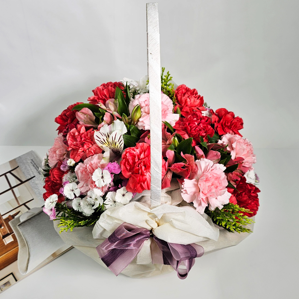 전국택배배송 데이지(핑크) 카네이션 꽃바구니 7종 어버이날 생일 축하 선물 꽃바구니 꽃배달