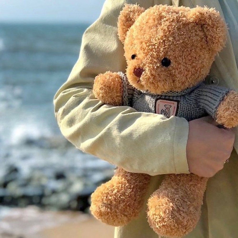 귀여운 곰돌이 인형 50cm 복슬복슬 베어 애착인형 곰인형 어린이날 생일 친구 선물