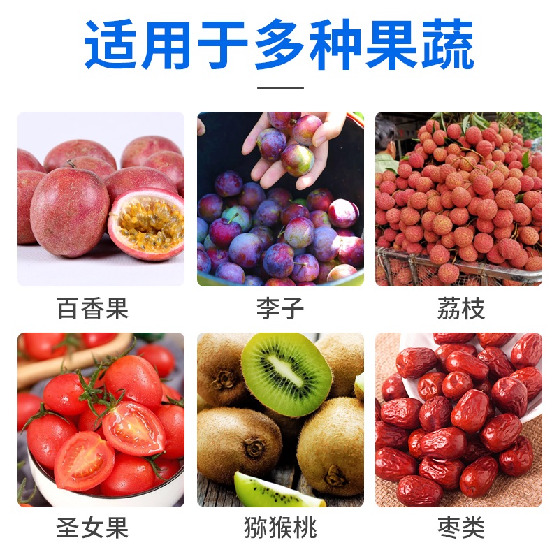 과일분류 선별기 사과 정선기 분리 방울토마토 자동 농업용 - 상세 이미지 4