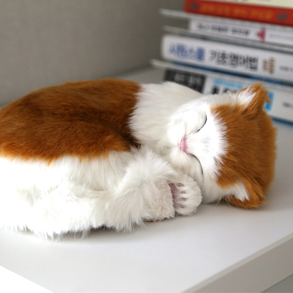 숨쉬는 인형 고양이 먼치킨 - 상품 이미지