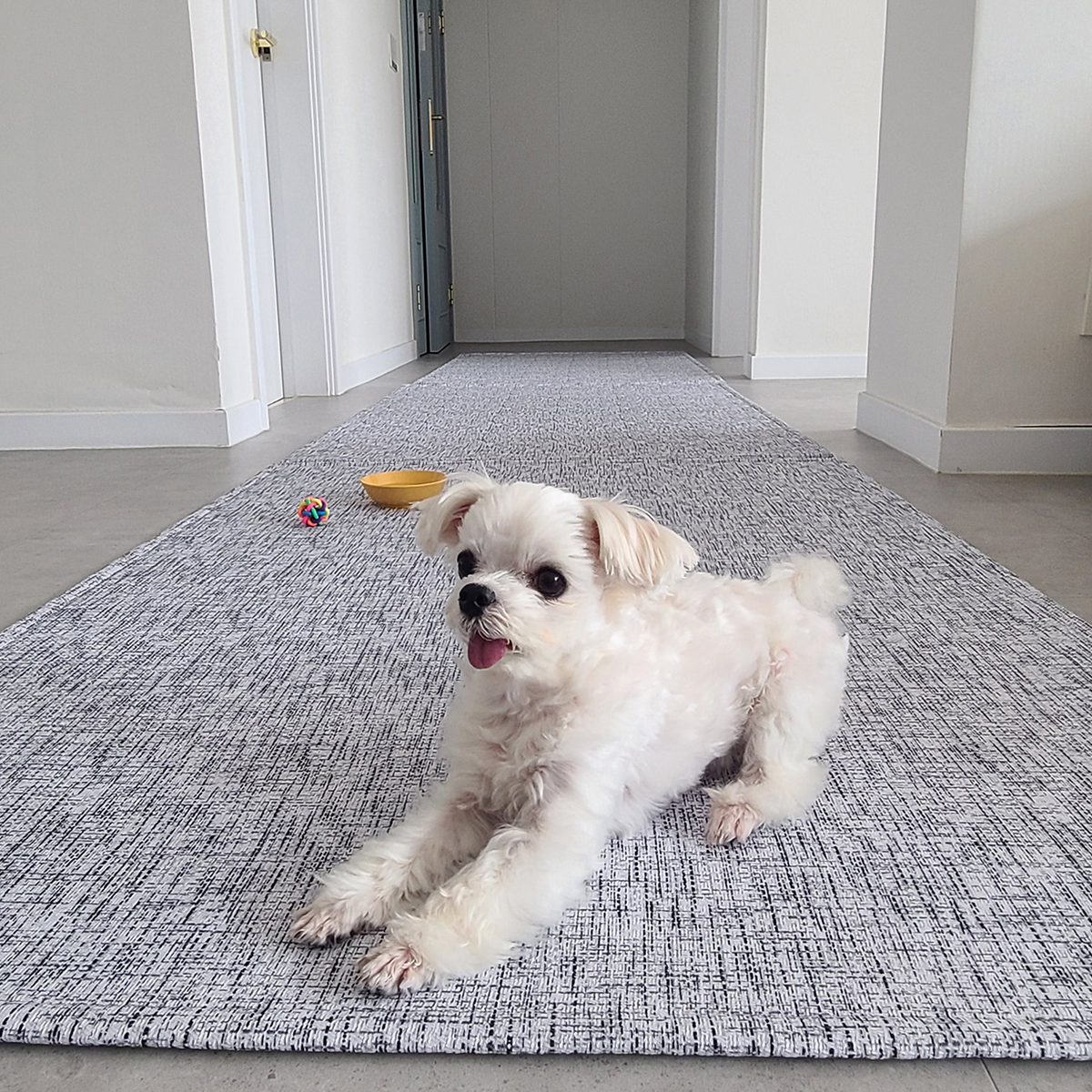 엠시베딩 워셔블러그 단모 먼지없는 사계절 방수 대형 거실 침실 아이방 원형 식탁 펫 러그