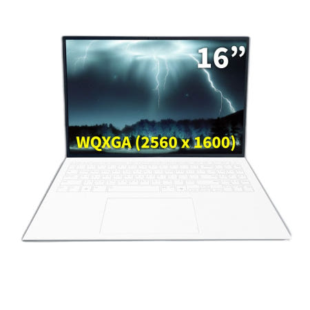 LG전자 LG그램 프로 16ZD90TR-SX59K (SSD512GB추가) 한컴오피스 제공 NT