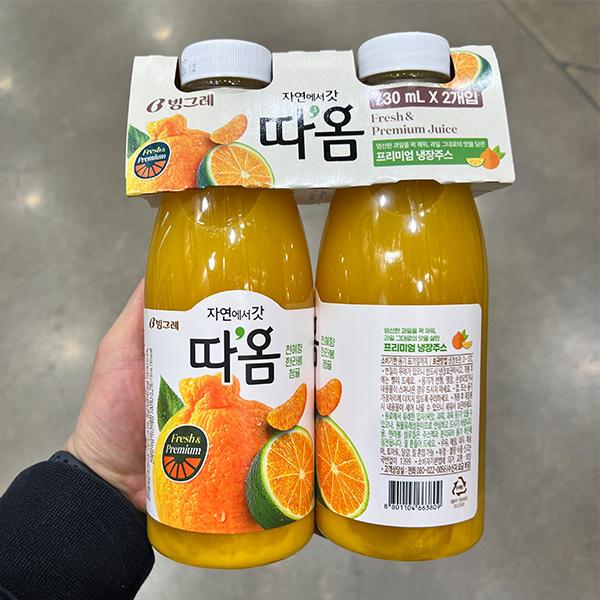 따옴 청귤 앤 한라봉 730ml x 2개입 : 쿨룩스토어