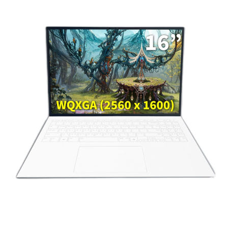 LG전자 LG그램 프로 16ZD90TP-GX59K (SSD512GB추가) 한컴오피스 제공 NT