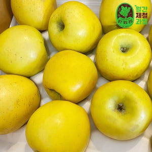 청송사과 문경 시나 시나노골드 사과 시나몬 황금 못난이사과 5kg 맛있게 먹은 솔직 후기 - 상품 이미지 1