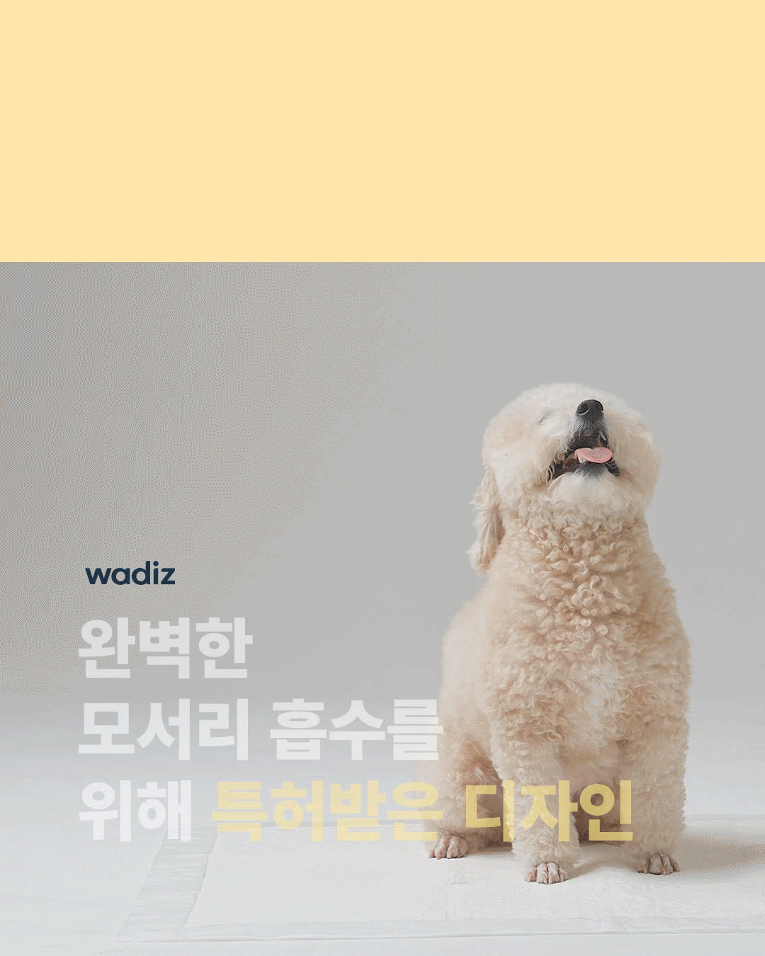 강아지 배변패드 모서리 샘방지 프리미엄 엣지커버 중형 - 상세 이미지 2