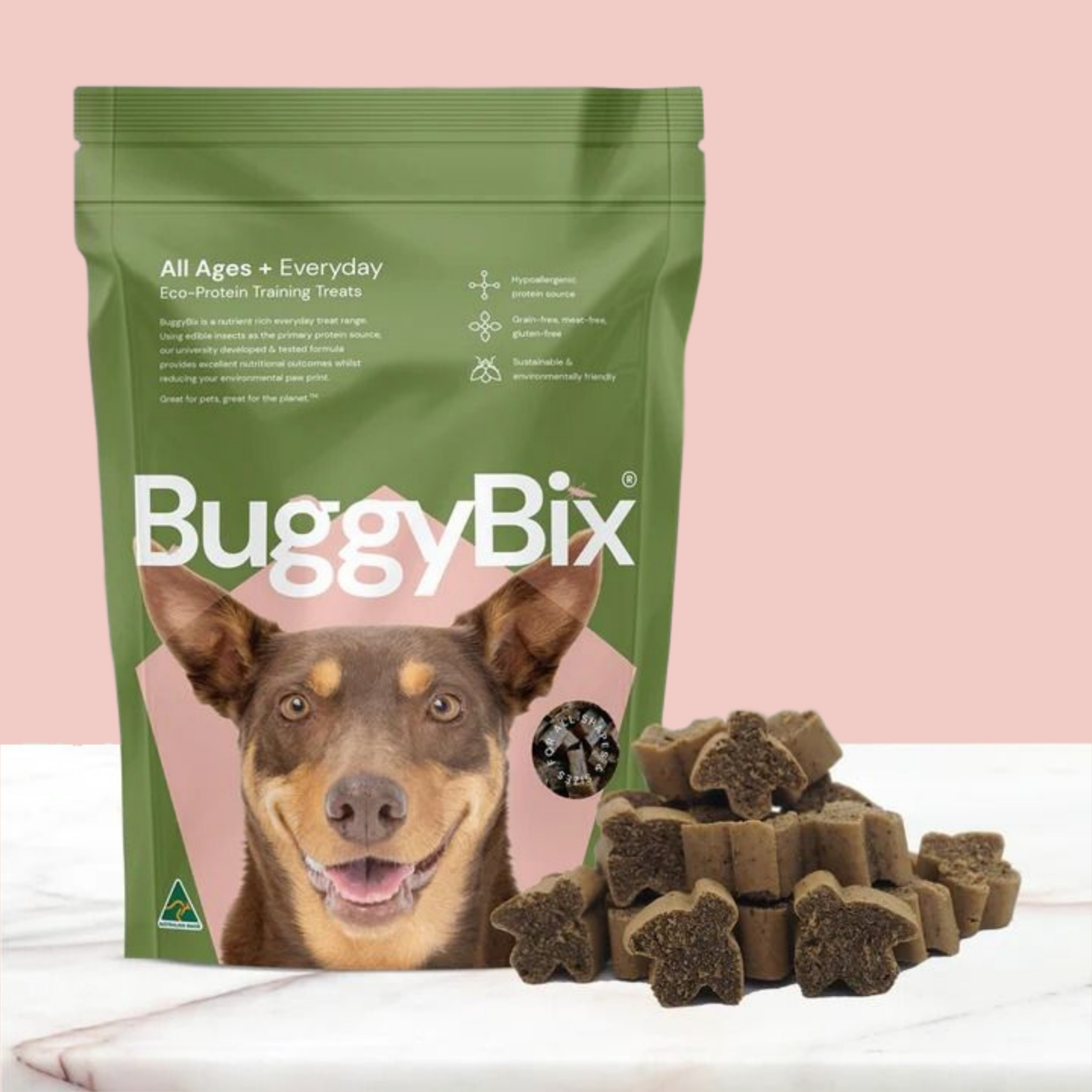 버기빅스 강아지 알러지 간식 170g 저알러지 곤충단백질 눈물자국 영양간식 반려견트릿