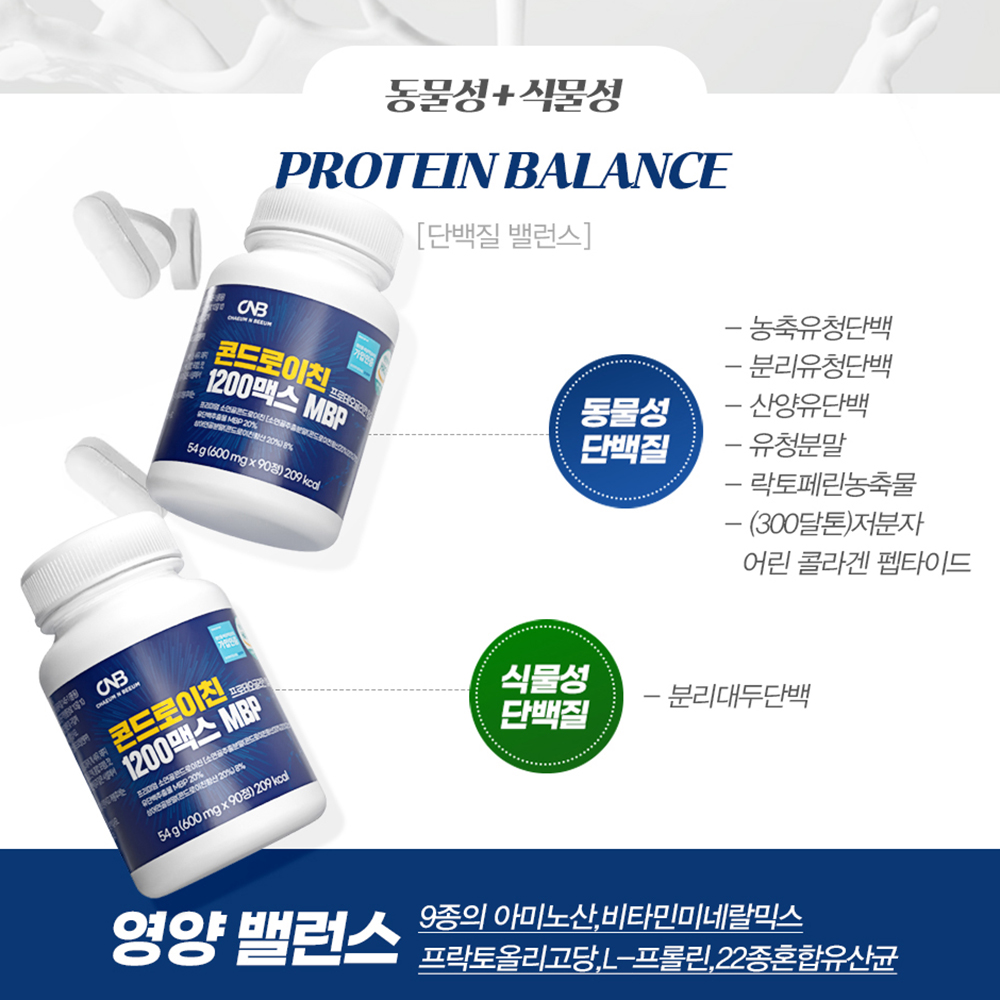 소연골 콘드로이친 1200 맥스 MBP 유단백질 저분자 상어연골 프로테오글리칸 뮤코다당백 - 상세 이미지 3