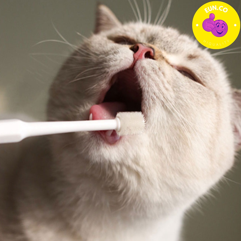 고양이 칫솔 반려동물 치아 실리콘 이빨관리 애완묘 애완견 구강케어 3개세트