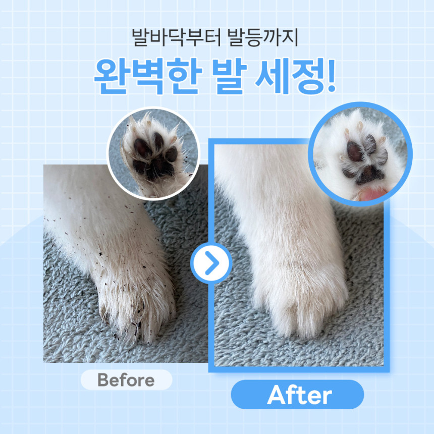 바이랩 수분풋케어 강아지 발바닥 세정제 산책 비누 발사탕 발 습진 샴푸 본품, 240g, 1개 사진 3