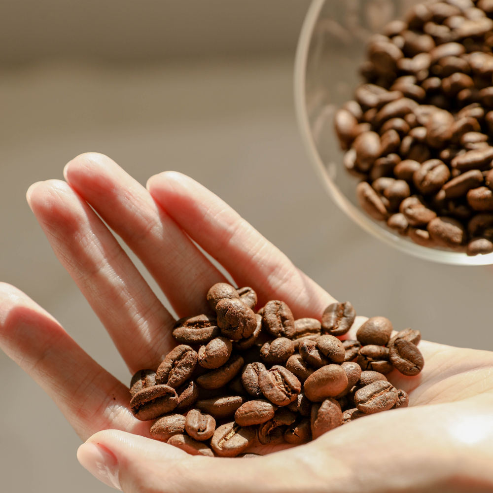 커피원두 200g 고소한 신선한 당일로스팅 과테말라 에스프레소 커피콩