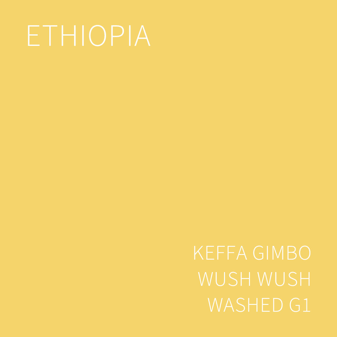 (2025 뉴크롭) 베르데 트레이드 에티오피아 케파 김보 우쉬우쉬 워시드 G1 5KG (ETHIOPIA KEFFA GIMBO WUSH WUSH WASHED)