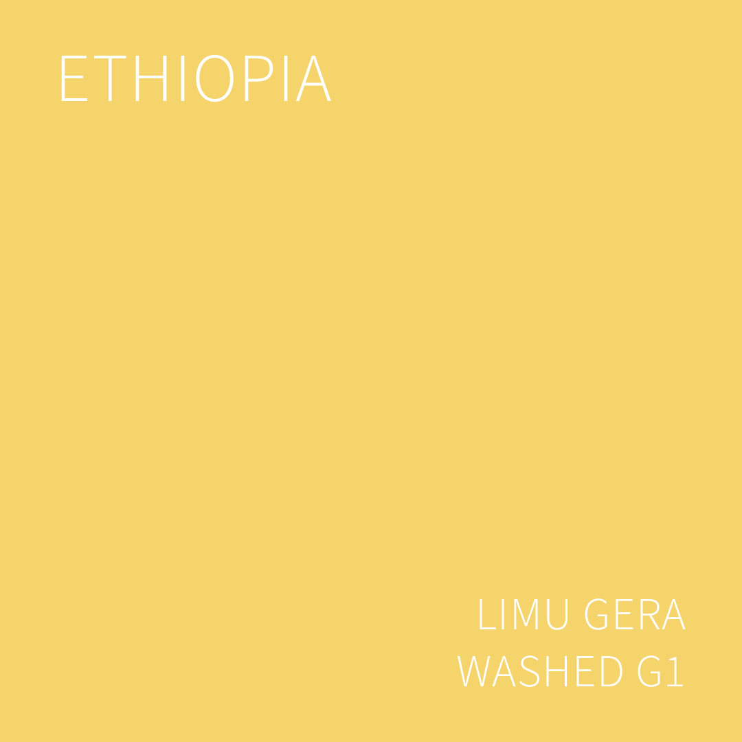 (2025 뉴크롭) 베르데 트레이드 에티오피아 리무 게라 워시드 G1 5KG (ETHIOPIA LIMU GERA WASHED)
