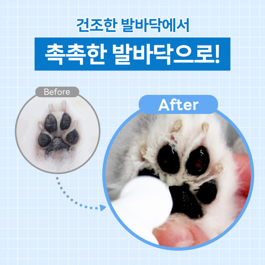 바이랩 강아지 발바닥 보습제 발사탕 발 건조 크림 수딩 풋 에센스, 20ml, 1개 사진 2