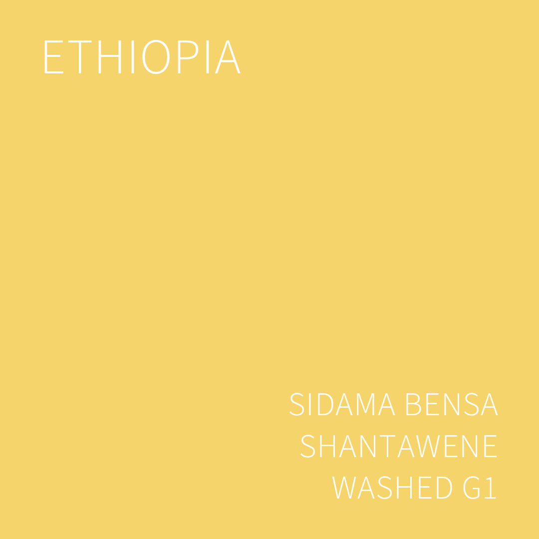 (2025 뉴크롭) 베르데 트레이드 에티오피아 시다마 벤사 샨타웨네 워시드 G1 5KG (ETHIOPIA SIDAMA BENSA SHANTAWENE WASHED)