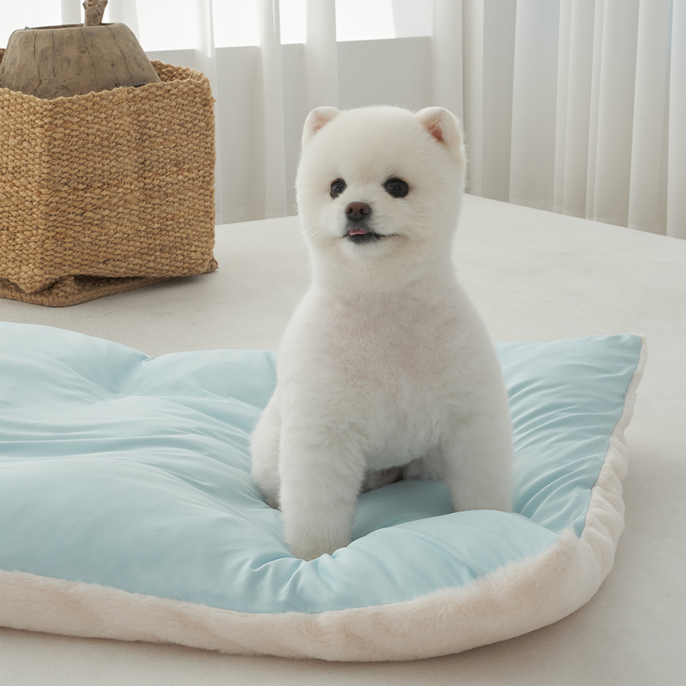 슈퍼펫 강아지 고양이 사계절 양면방석 쿠션 아이보리 S 이미지 7