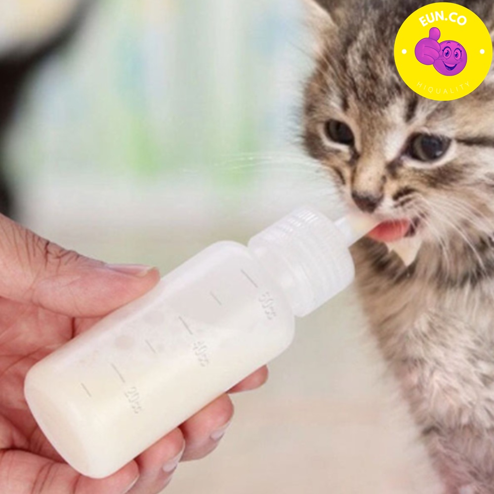 고양이 약병 공병 물병 분유 젖병 애완동물 반려동물 60ml - 메인 이미지