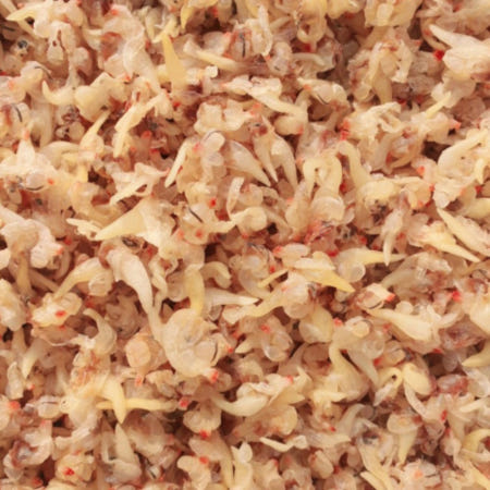 건조개살 1kg 반찬 안주 쫄깃한 식감 단백질