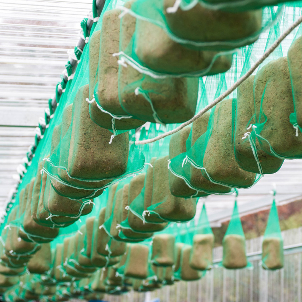 현식당 남원 추어탕 제피O(국내산 산초), 600g, 6개