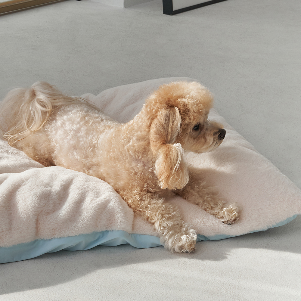 슈퍼펫 강아지 고양이 사계절 양면방석 쿠션 아이보리 S - 상세 이미지 2