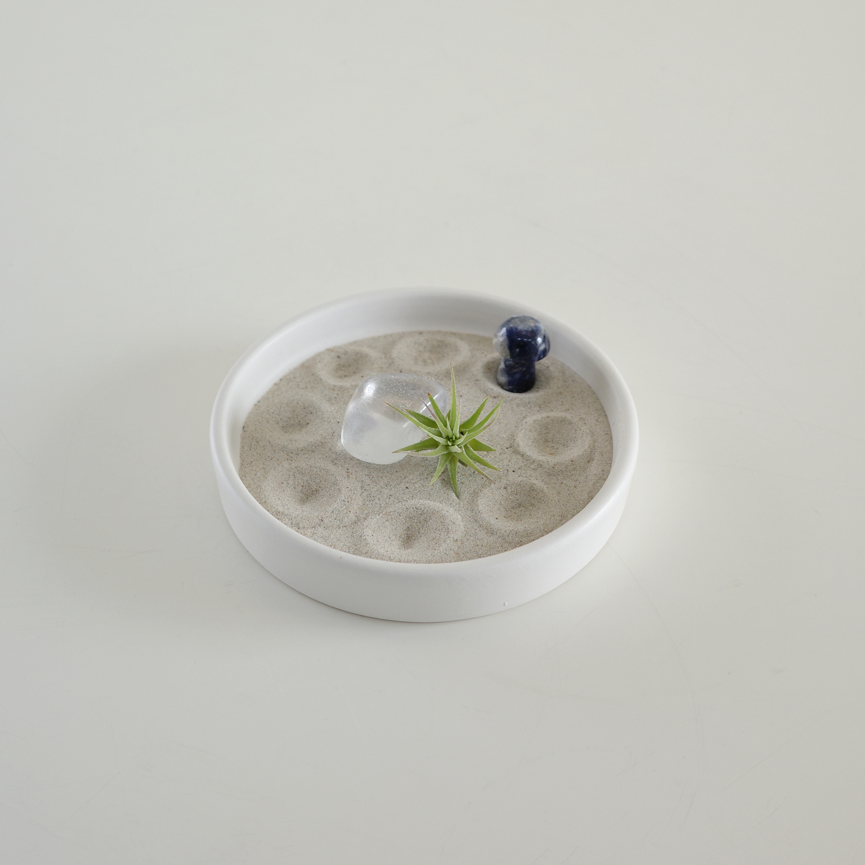 타이니 이오난사 젠가든 (Tillandsia ionantha zen garden) - 상세 이미지 3