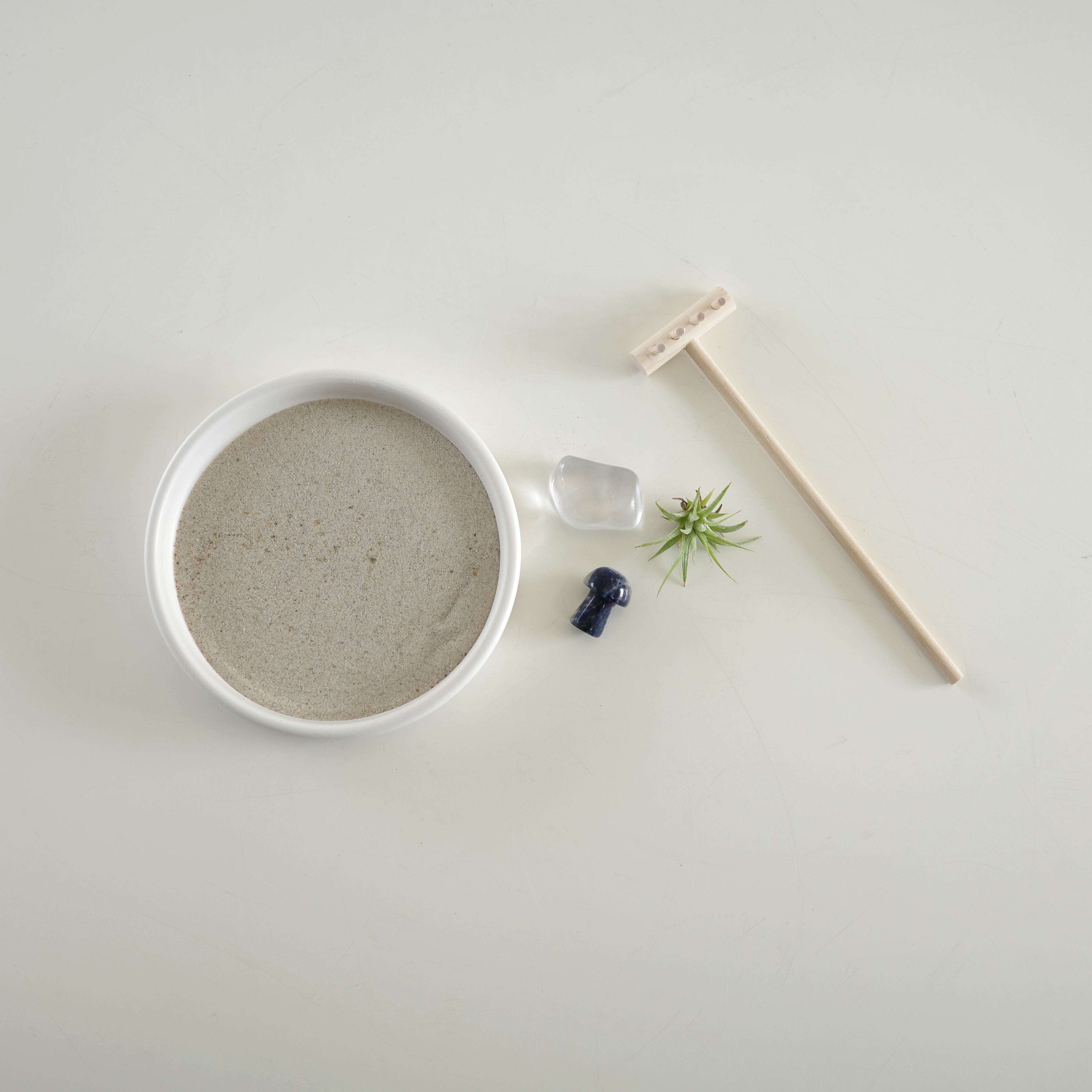 타이니 이오난사 젠가든 (Tillandsia ionantha zen garden) 이미지 6