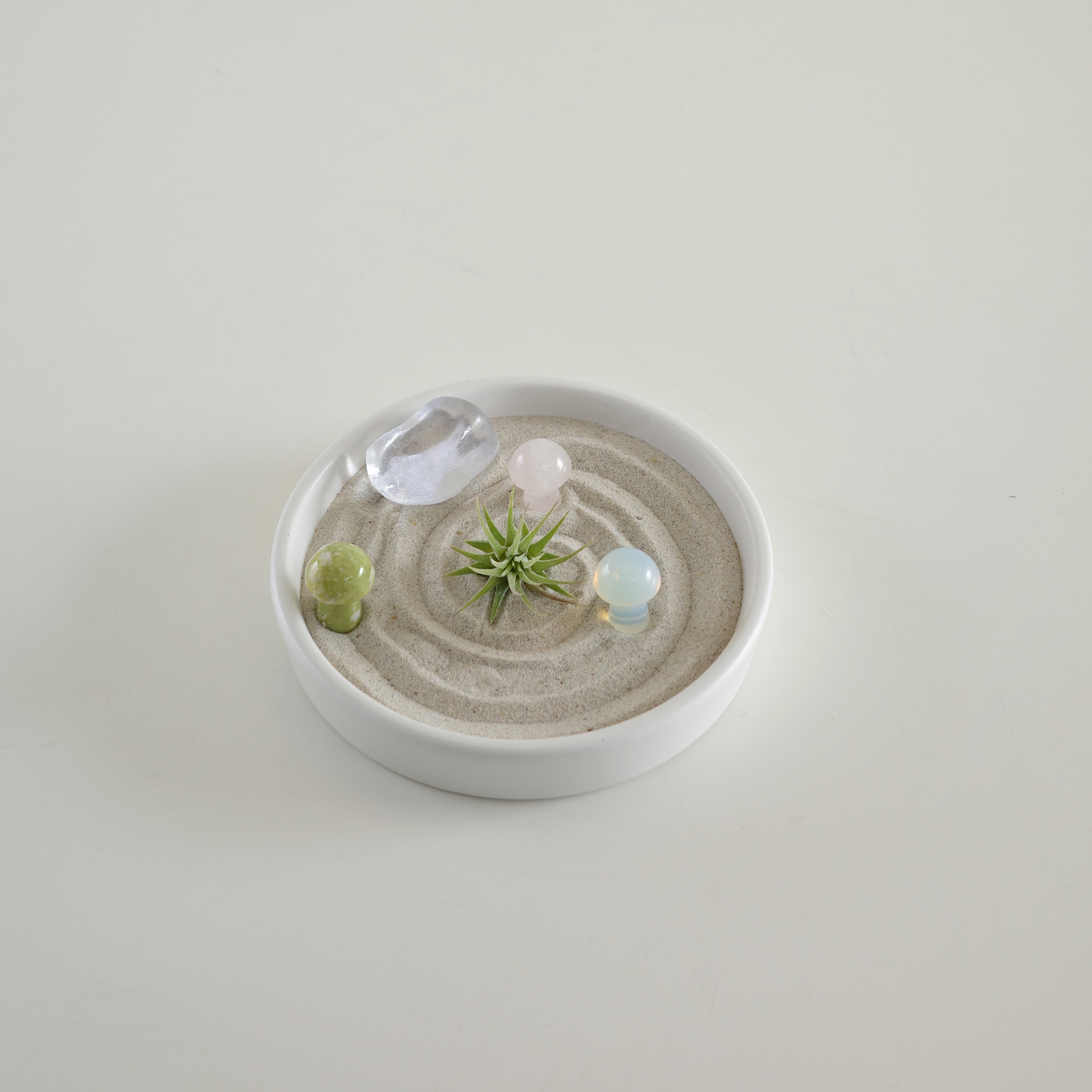 타이니 이오난사 젠가든 (Tillandsia ionantha zen garden) - 상세 이미지 2