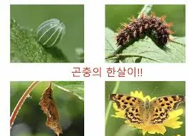 [국립과천과학관] 동물의 한살이 & 첨단과학기술과 미래상상 | 교과연계 체험  by 교과타파 - 상세 이미지 3