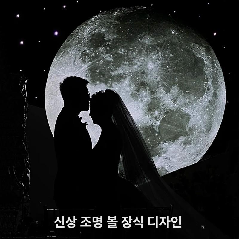달모양조명 달 조형물 보름달 장식 야외 포토존 카페 램프 공원 펜던트 정원 실외 : 미담 스토어