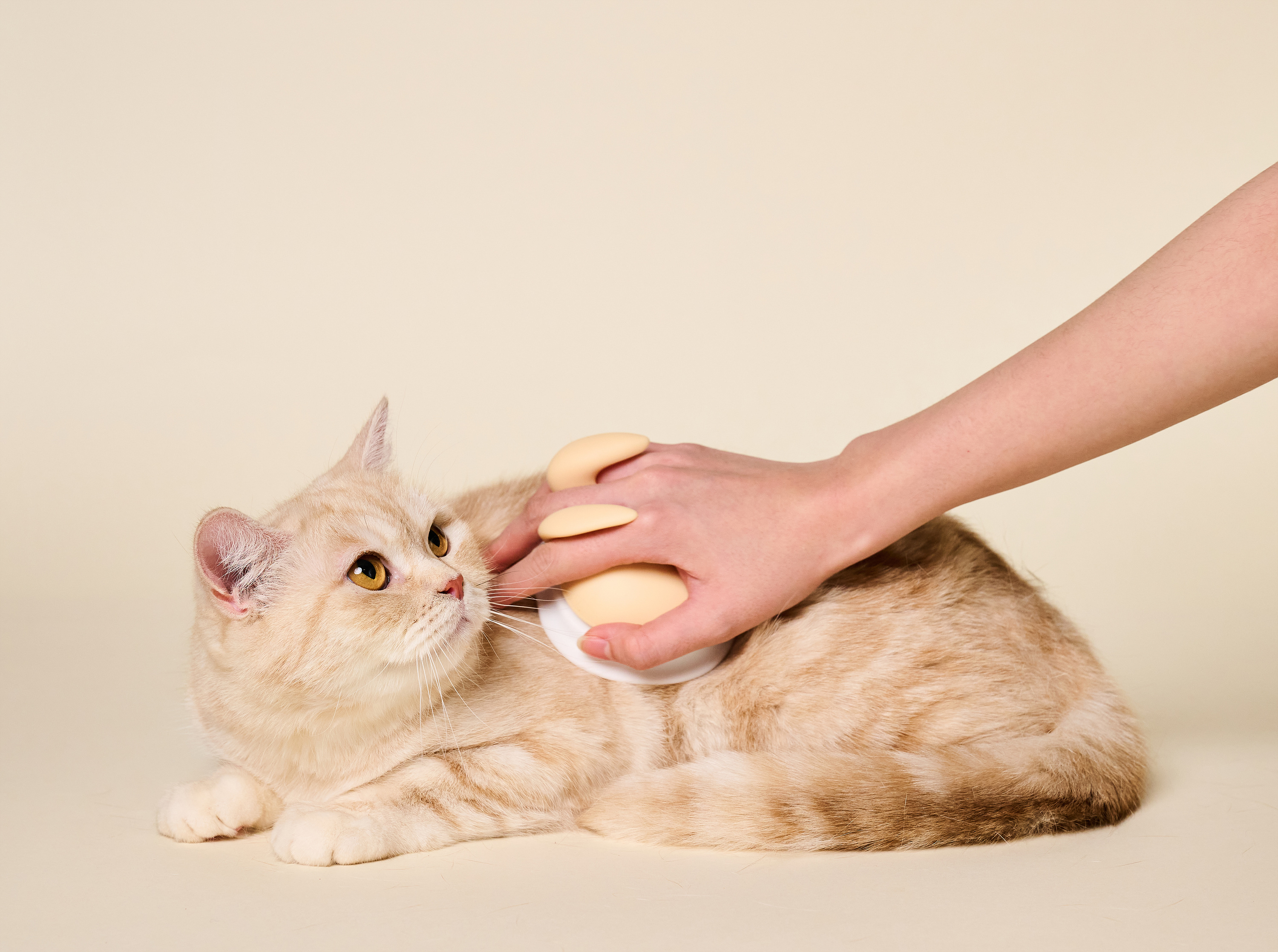 알로밍 트루그루밍브러쉬 고양이빗 강아지빗 공용 상부 그립모듈 하부 단모&직모용 모듈