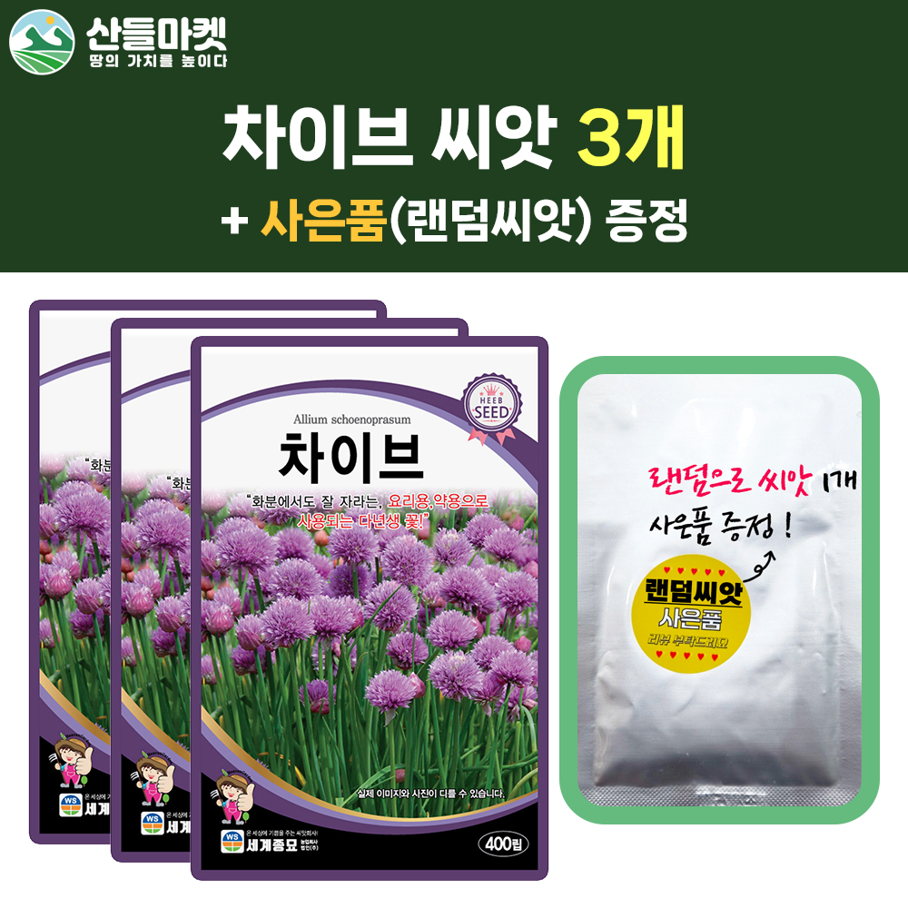 산들마켓 차이브 씨앗 400립 챠이브씨 허브 3개+랜덤 씨앗 1개 증정 : 산들마켓샵
