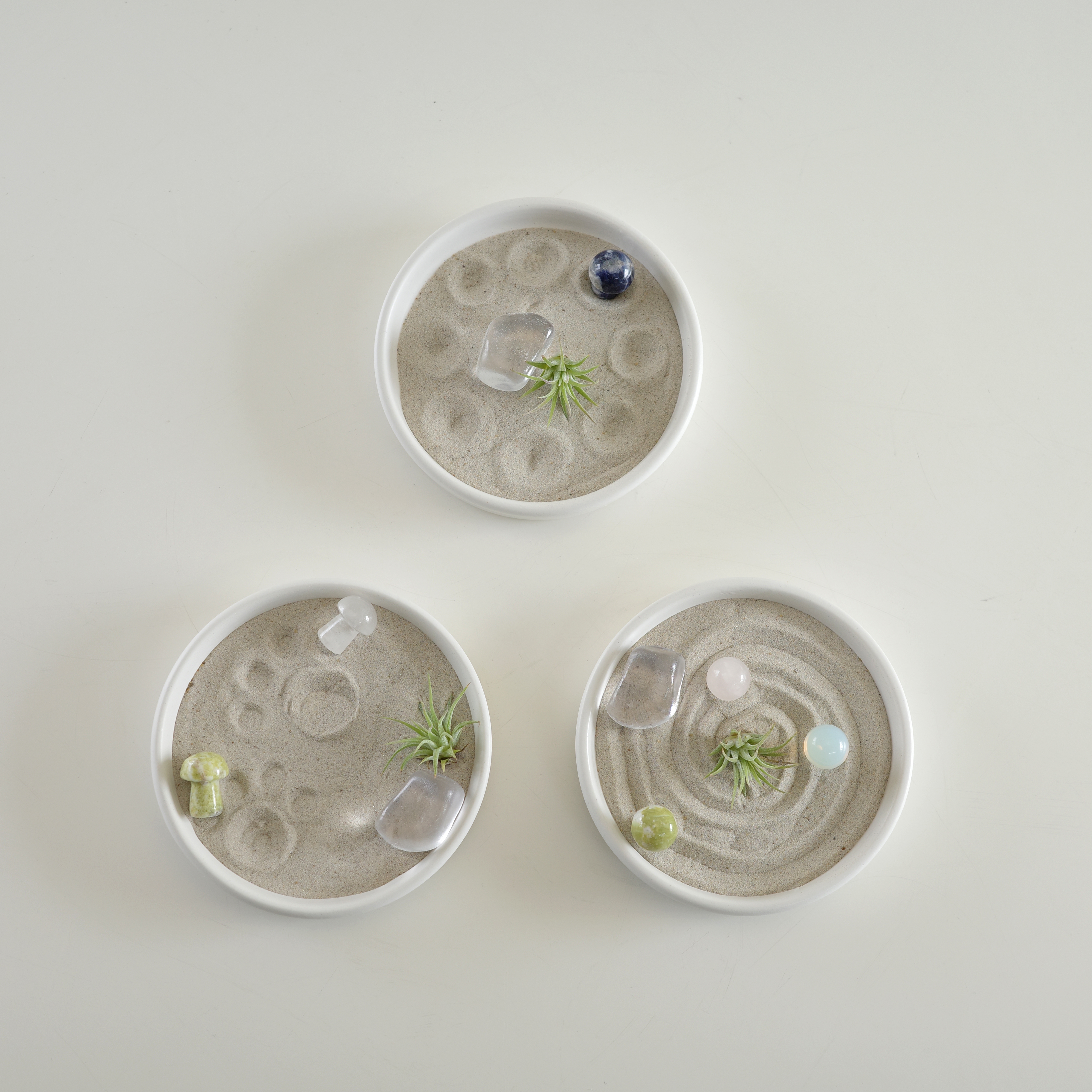 타이니 이오난사 젠가든 (Tillandsia ionantha zen garden) - 상세 이미지 5