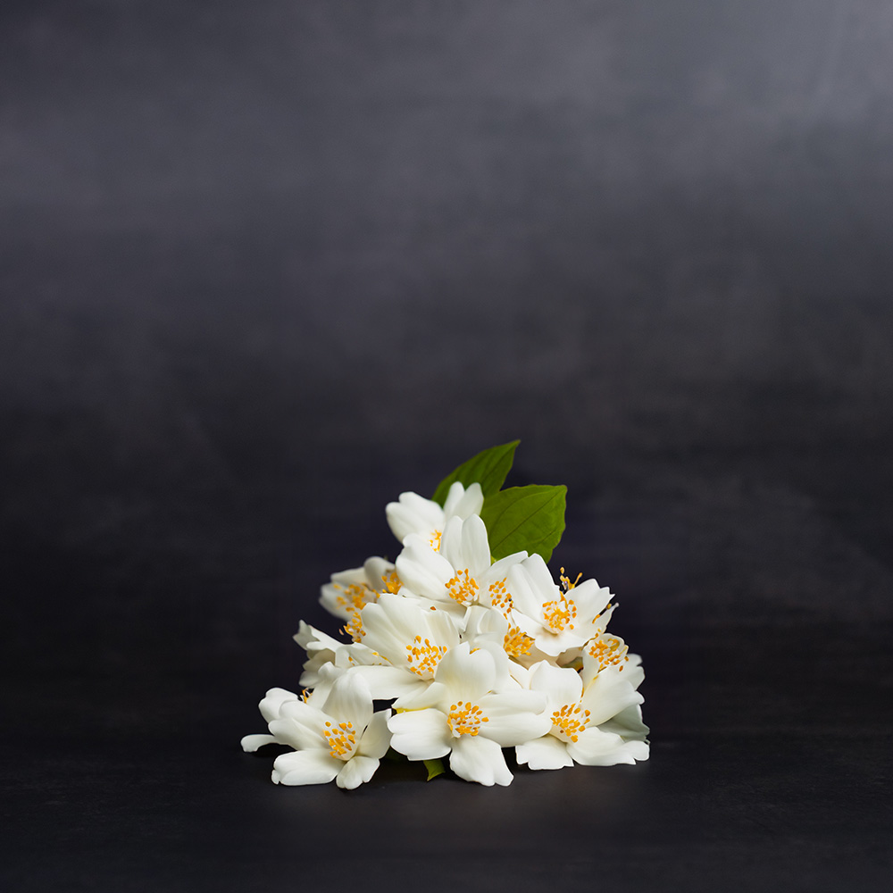 서린 자스민 인센스 Serene Jasmine Incense Extrait de Parfum 50ml - 상세 이미지 4