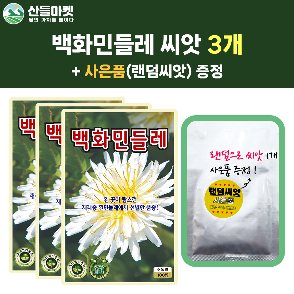 산들마켓 백화민들레 씨앗 100립 흰민들레씨 3개+랜덤 씨앗 1개 증정 : 산들마켓샵