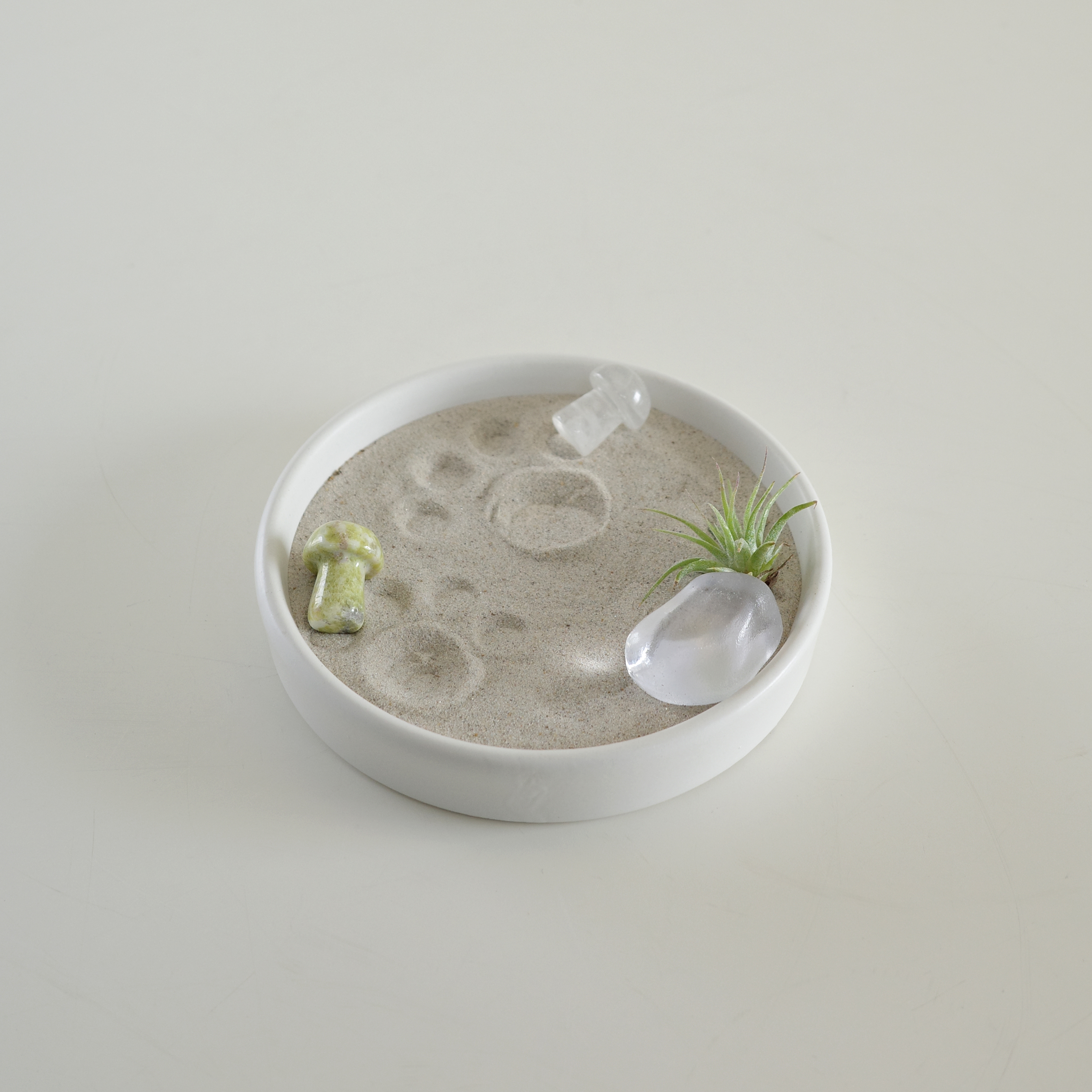 타이니 이오난사 젠가든 (Tillandsia ionantha zen garden) - 상세 이미지 4