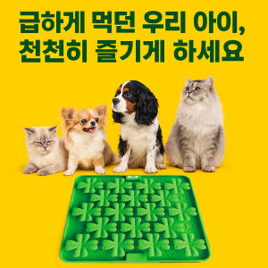 숲속 먹이퍼즐 노즈워크 간식퍼즐 분리불안 강아지 고양이 혼자 훈련 장난감 솔직 후기 | 실제 사용자 리뷰 총정리 - 상품 이미지 2