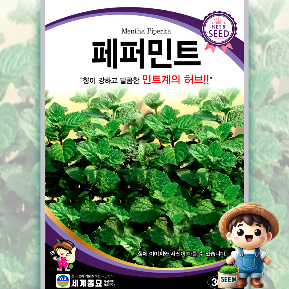 페퍼민트 300립 일반종 민트계 식용꽃 허브 꽃씨 씨앗 종자 세계 : 남흥원예사