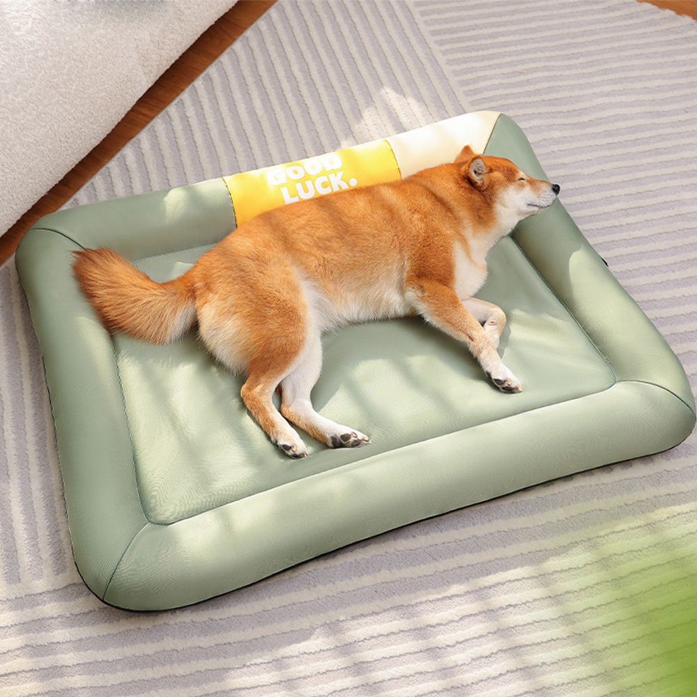 개과천선 바운시 강아지 방석 애견 방석 고양이 침대 대형 쿠션 반려견 반려묘