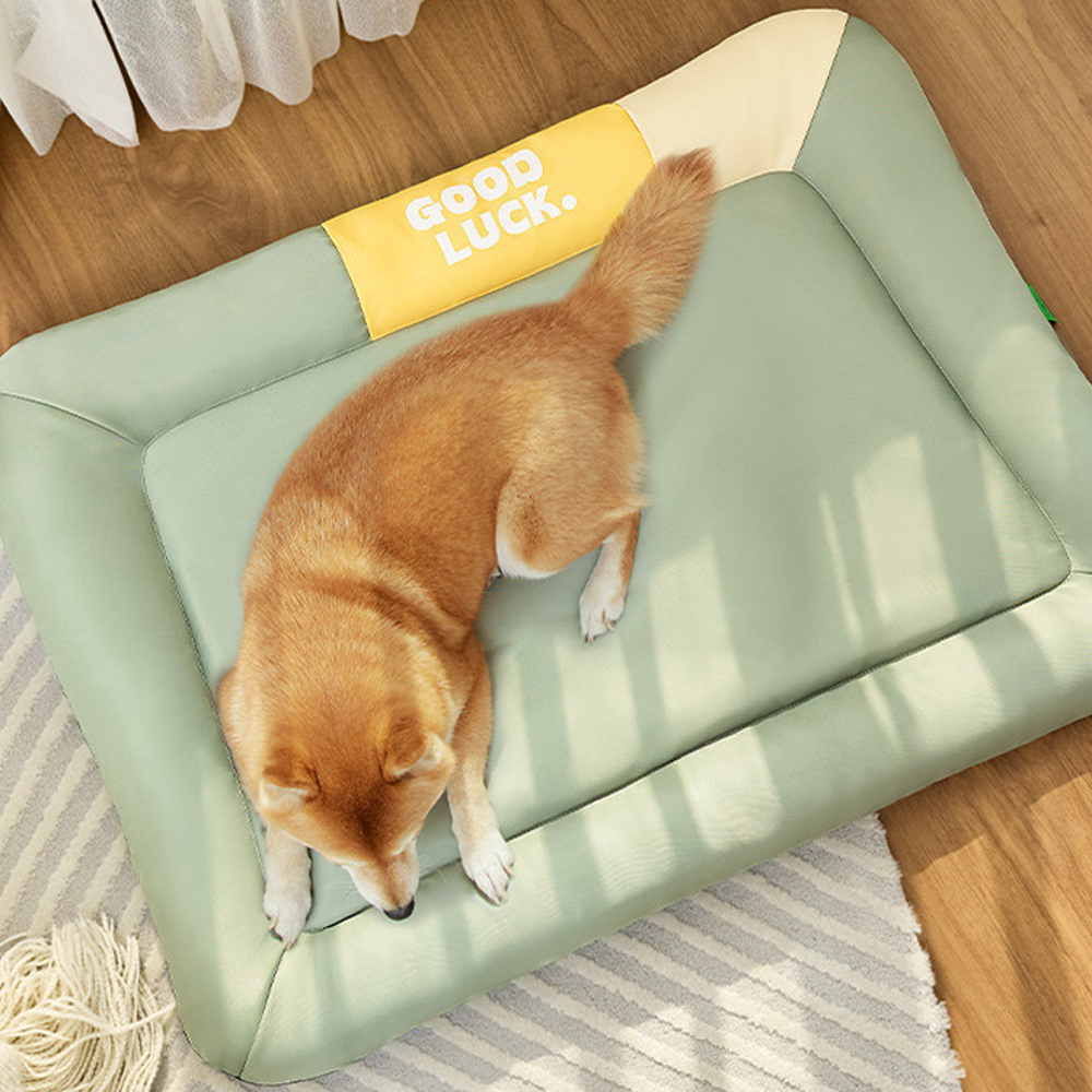 개과천선 바운시 강아지 방석 애견 방석 고양이 침대 대형 쿠션 반려견 반려묘