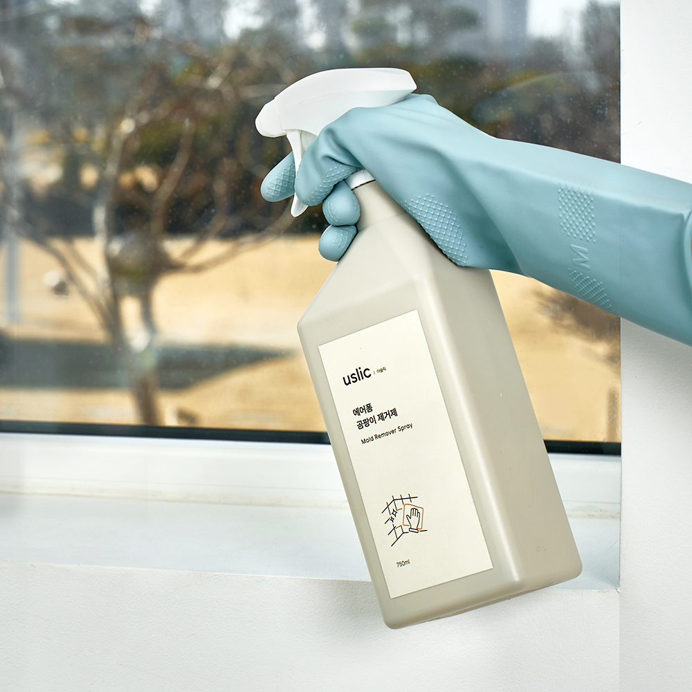 곰팡이제거제 실크벽지 곰팡이제거 실리콘 베란다 바닥 750ml, 2개 - 상세 이미지 2