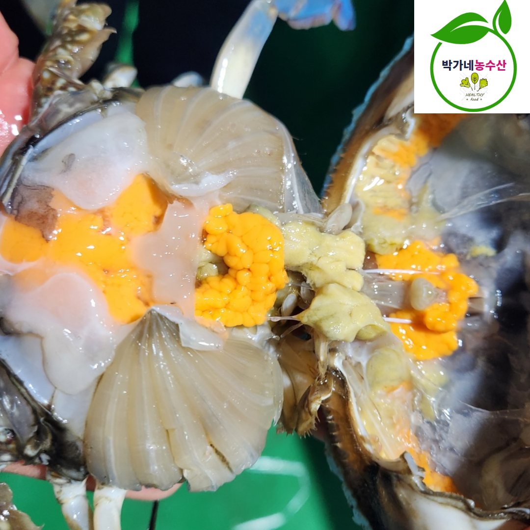 국내산 제철 생물 알배기 암꽃게 1kg (4-6미) - 상품 이미지