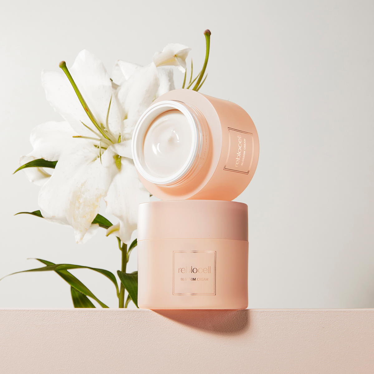 리블로셀 블로썸 베리어 나이트 영양크림 50ml 미백 밤 탄력 보습 장벽강화