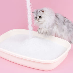 미유박스 고양이모래 화이트 퓨어 샌드 벤토나이트모래 9.5kg, 1개 솔직 후기 | 실제 사용자 리뷰 총정리 - 상품 이미지 3