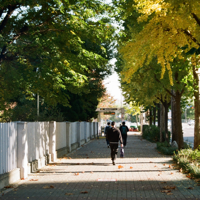 [택배 회수 제공] 홈 스캔 서비스 컬러(35mm/C-41) 필름현상 스캔 인화
