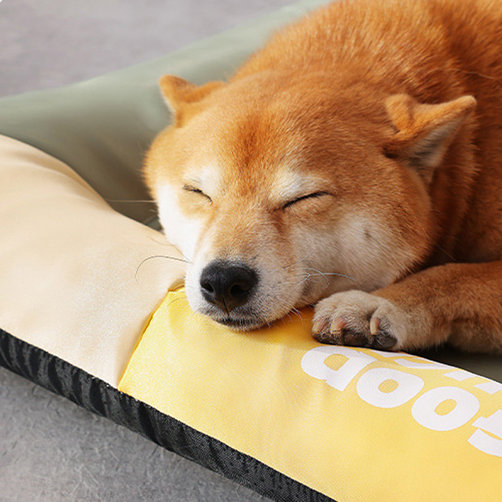 개과천선 바운시 강아지 방석 애견 방석 고양이 침대 대형 쿠션 반려견 반려묘