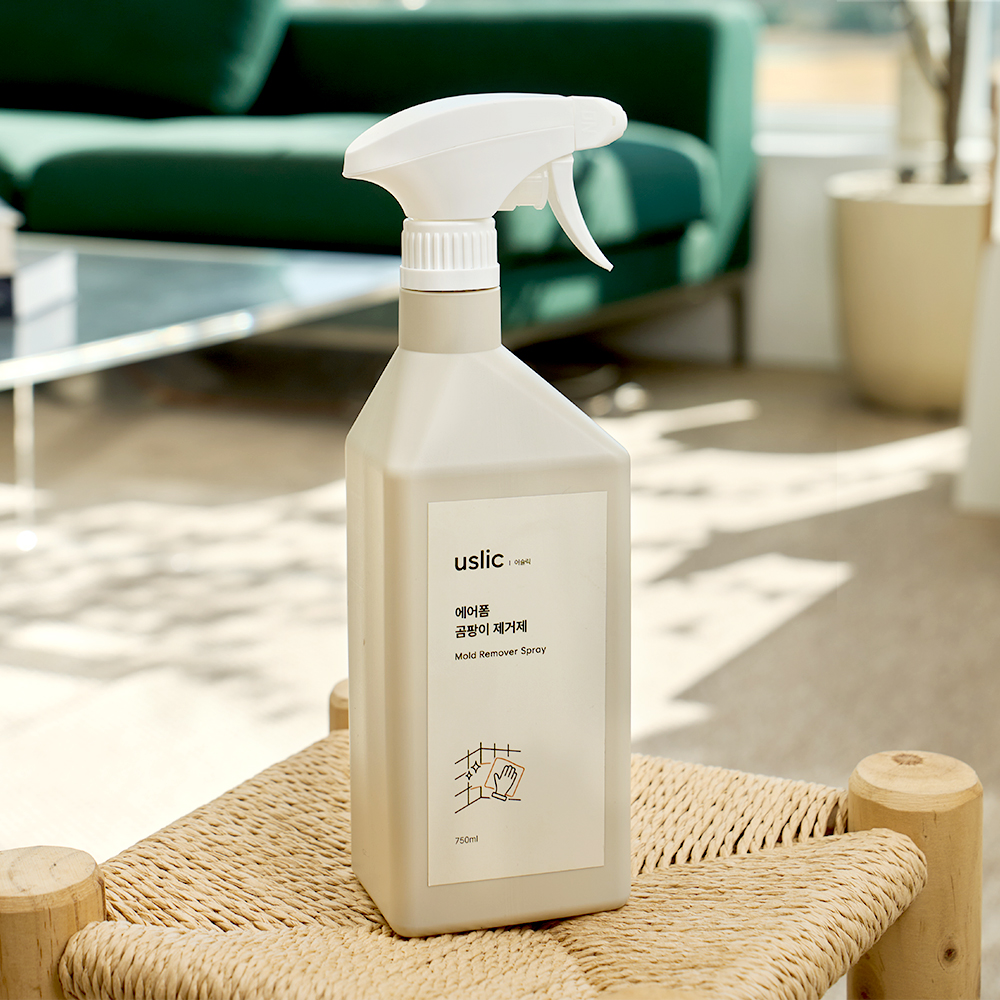 곰팡이제거제 실크벽지 곰팡이제거 실리콘 베란다 바닥 750ml, 2개 - 상세 이미지 5