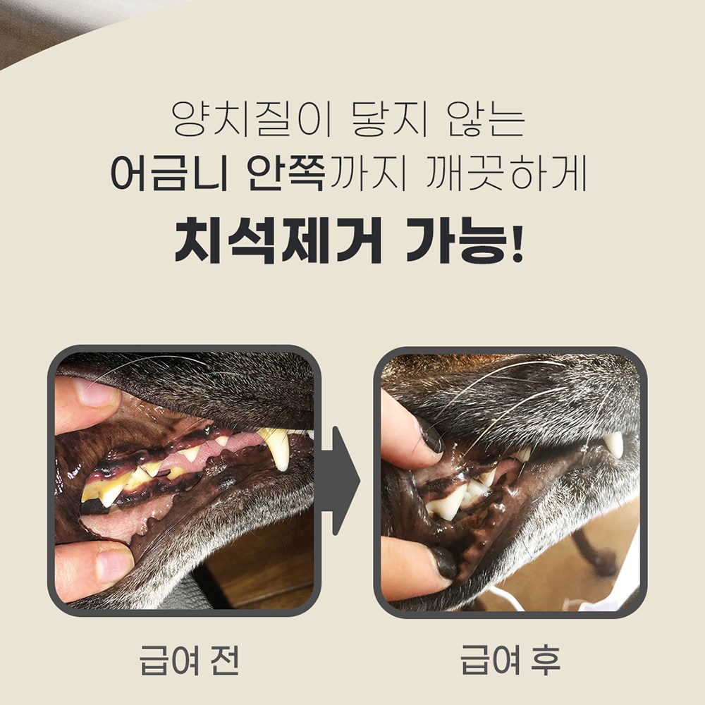 플라그오프 파우더 프로덴 치석제거 입냄새 구강관리 강아지 40g 이미지 8