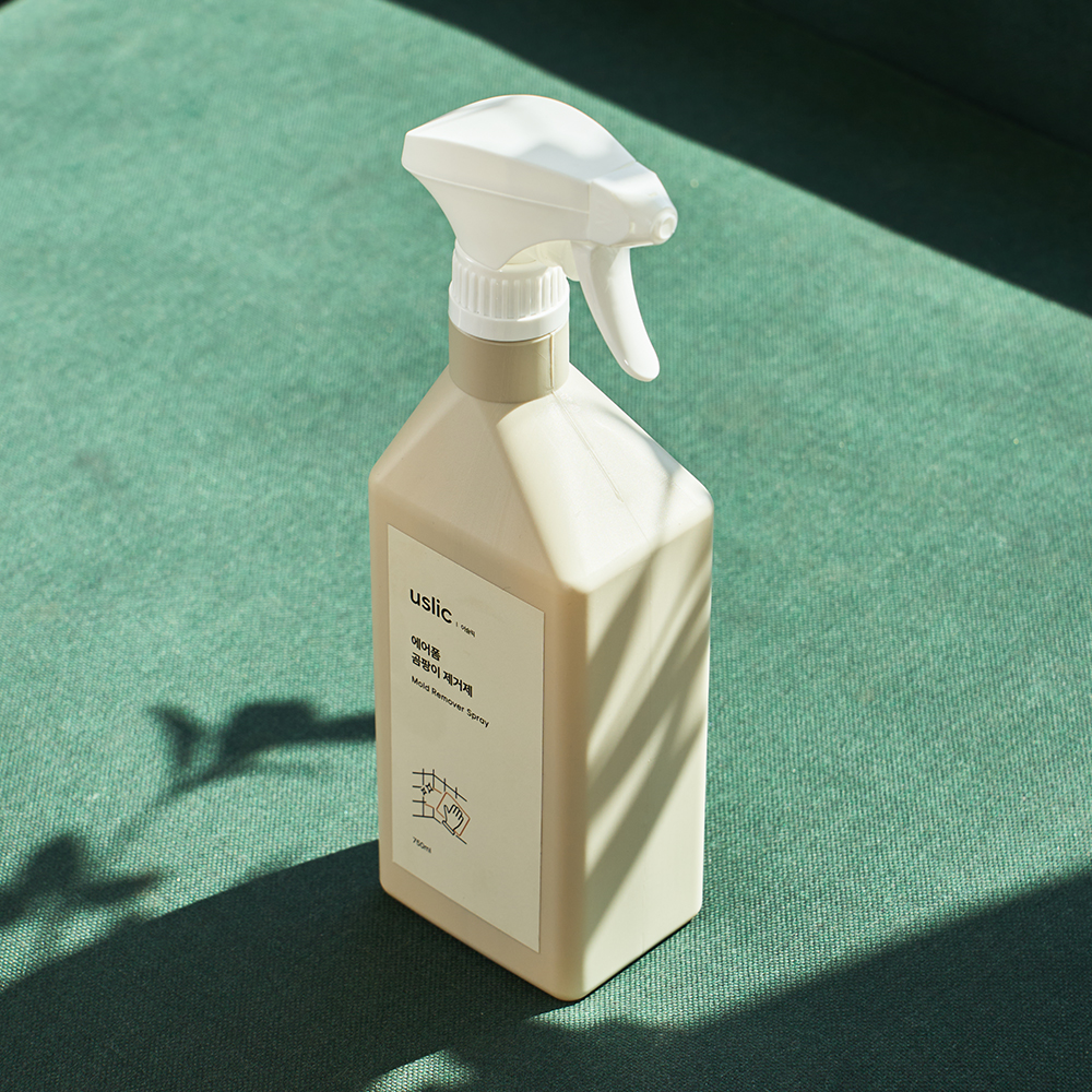 곰팡이제거제 실크벽지 곰팡이제거 실리콘 베란다 바닥 750ml, 2개 - 상세 이미지 3