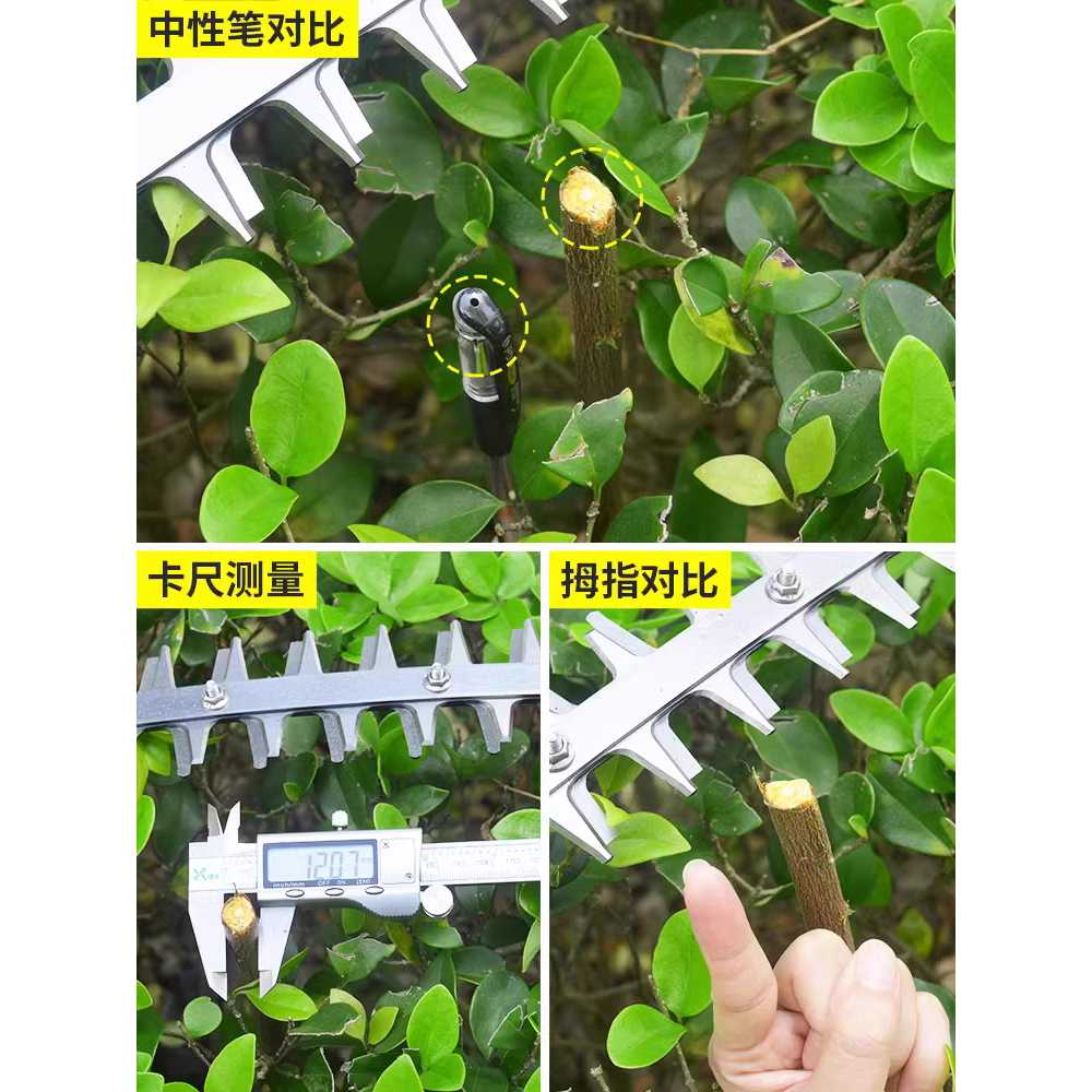 가지치기 트리머 충전 전정기 잔디 예취기 전정톱 - 상세 이미지 3