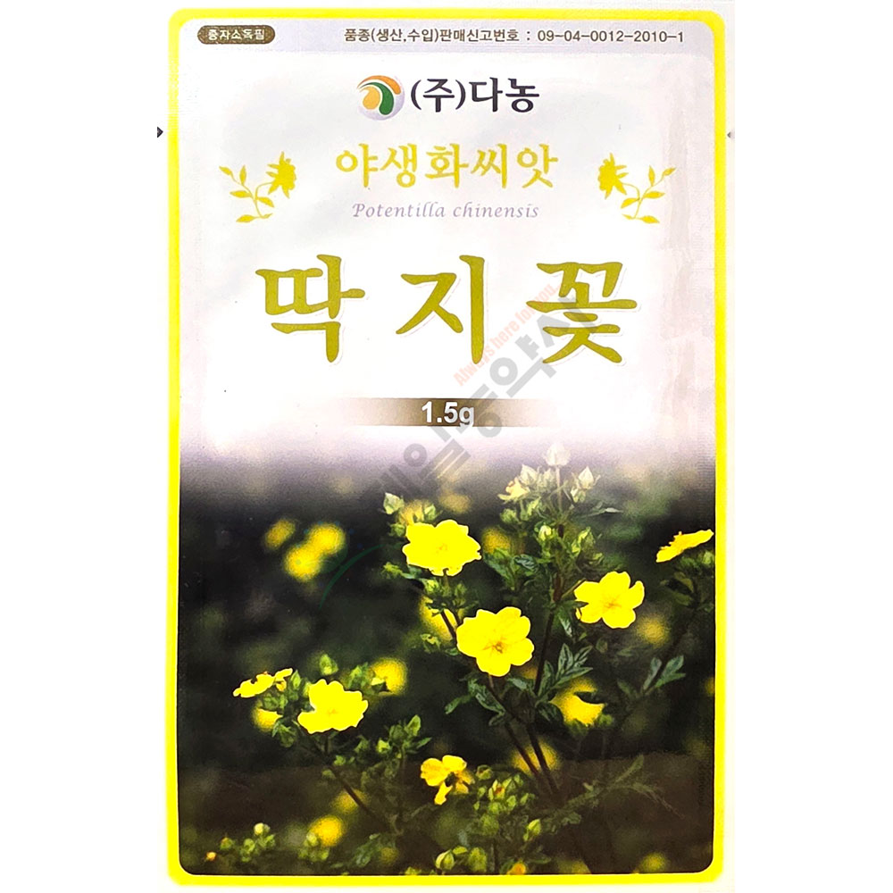 딱지꽃 1.5g 다농 25년 딱지꽃씨앗 : 제일농약사
